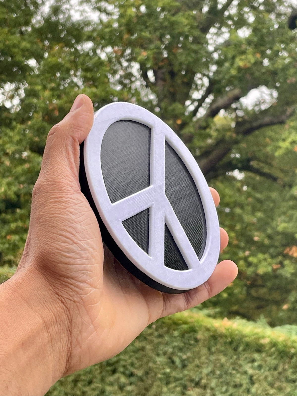 Peace Sprinter/Crafter Van 06-24 3D Printed, Camper, Conversion, Custom, Easy Install, Unique, Reversible